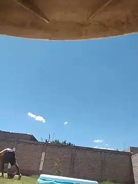 davicitos online show from February 7, 5:29 pm