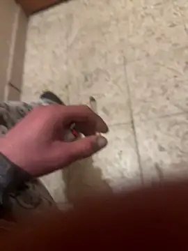 maroo544 online show from November 15, 3:30 am