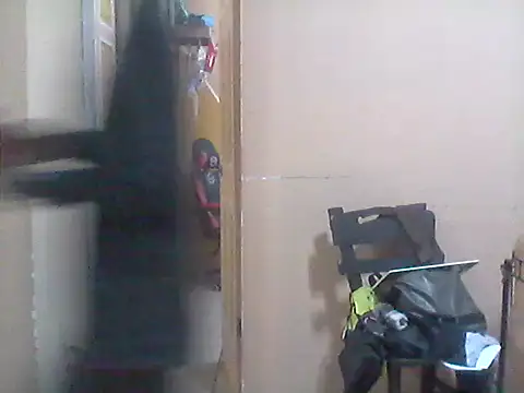 Snapshot of _Dmente_ chatting on October 17, 6:06 am  Dmente  online show from October 17, 6:06 am