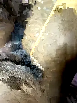 AssamSilchar93 online show from March 13, 4:25 pm