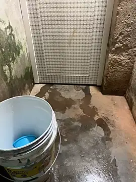 SnapIDRakesh4 online show from March 20, 4:09 pm