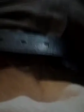 armdy371 online show from November 14, 7:15 pm