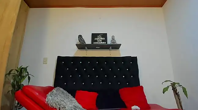 Snapshot of julian_wallace chatting on February 18, 4:49 pm julian wallace online show from February 18, 4:49 pm