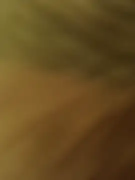 bigdick0694 online show from December 23, 5:38 am