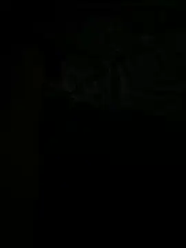 tran3 online show from September 12, 10:32 pm