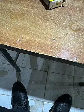 homidor online show from November 8, 6:55 pm