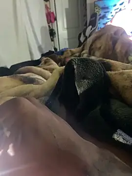 Bobthebuilder777 online show from February 5, 4:19 am