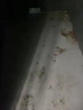 zeekBbc online show from April 5, 12:41 am