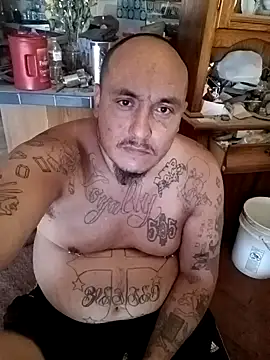 wilsons12 online show from October 24, 6:42 pm