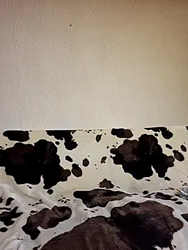 Zgodanilep online show from February 21, 4:30 pm