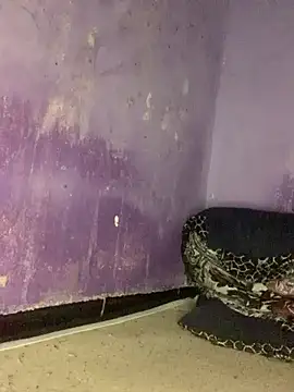 Sexy king4 online show from June 8, 2:01 am