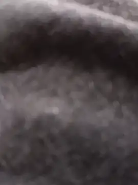 huzi518 online show from December 4, 3:02 am