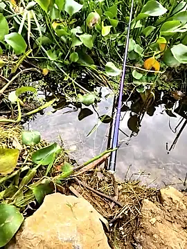 huzi518 online show from November 1, 3:54 am