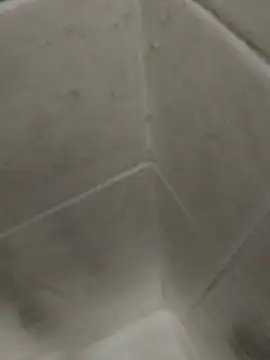 catopper0001 online show from November 10, 9:20 pm