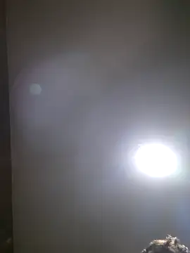 Colorao4 online show from October 28, 3:58 pm