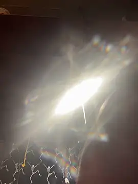 mascmo88 online show from January 5, 11:52 pm