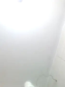 fersex2020 online show from November 1, 9:30 pm