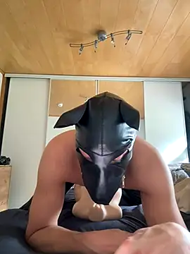 Snapshot of PlayDog123 chatting on October 12, 12:32 pm PlayDog123 online show from October 12, 12:32 pm