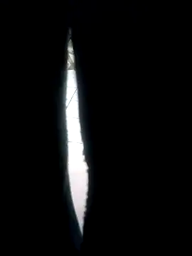 Snapshot of fercxxxho25 chatting on October 6, 11:42 pm fercxxxho25 online show from October 6, 11:42 pm