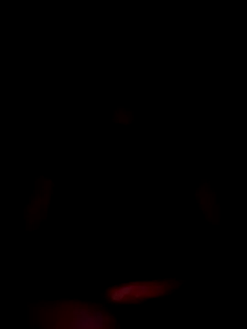 Thebryan369 online show from November 27, 10:41 am