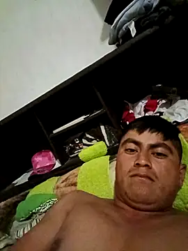 hhzp online show from November 12, 3:34 am