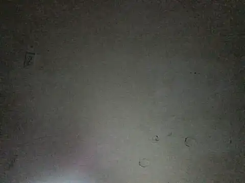 dvalley1 online show from February 28, 8:53 am