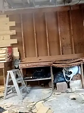 Buffshagswell online show from November 9, 6:45 pm