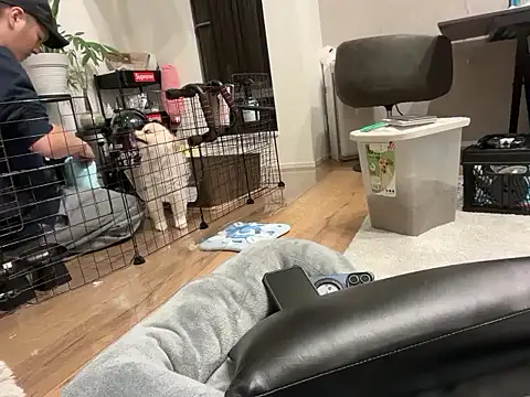 Snapshot of kensnb chatting on November 1, 9:13 am kensnb online show from November 1, 9:13 am