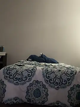 domoferrara online show from February 19, 3:08 pm