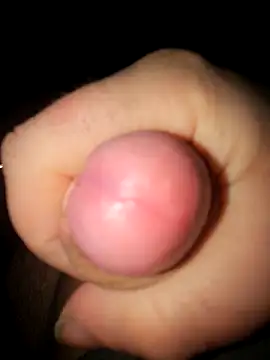 Rolog12334 online show from April 8, 6:05 pm