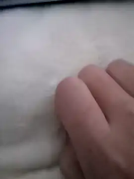 Snapshot of smailcat chatting on December 7, 2:09 am smailcat online show from December 7, 2:09 am