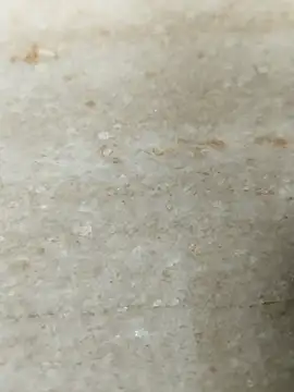 krishhyd69 online show from December 1, 8:28 am