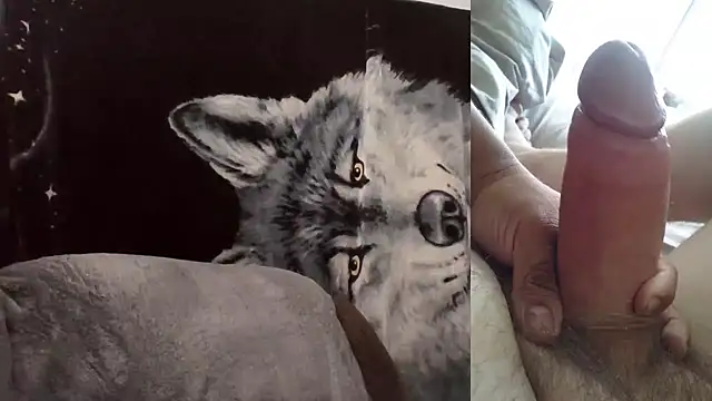 Hornychitown24 online show from February 3, 8:36 pm