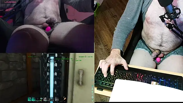 Crosss-23cm online show from January 17, 8:04 pm
