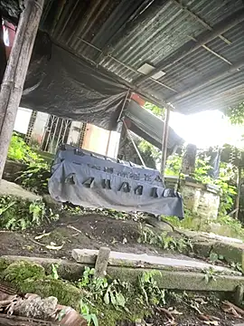 Jestebanano online show from April 19, 1:43 pm