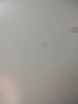 geilerschwanz64 online show from December 23, 4:10 am