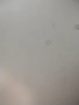 geilerschwanz64 online show from December 1, 9:01 am