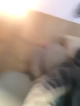 Snapshot of bogland33 chatting on October 24, 7:37 pm bogland33 online show from October 24, 7:37 pm