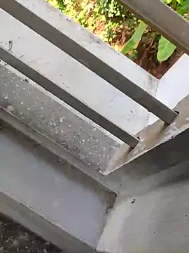 Shibuvyyyy online show from October 31, 4:14 am