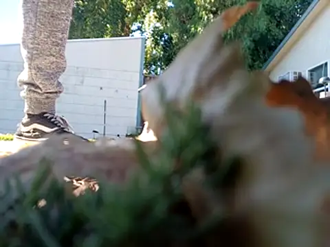 Snapshot of DevinToore chatting on October 27, 8:33 pm DevinToore online show from October 27, 8:33 pm