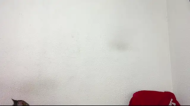 logan x3 online show from March 31, 4:14 am