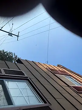 tokenkingtn online show from October 22, 12:42 pm