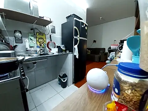 Gasc 1992 online show from March 21, 12:03 am