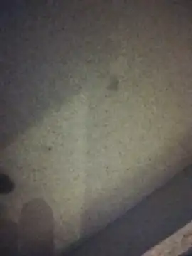 Snapshot of Leocesar37 chatting on October 18, 4:28 am Leocesar37 online show from October 18, 4:28 am