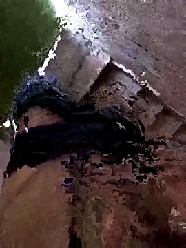 NAUGHTY GUJJU BOY online show from February 20, 5:44 am