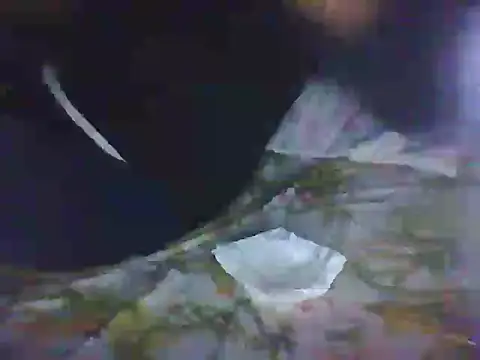 akrep071507 online show from October 3, 11:32 pm