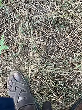 Snapshot of tamil000000 chatting on March 11, 1:37 am tamil000000 online show from March 11, 1:37 am