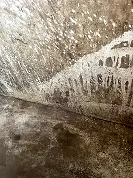 tamil000000 online show from November 4, 9:10 am