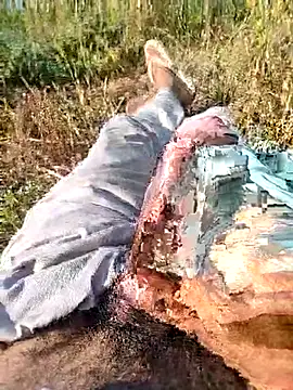 ajaysinghsss online show from March 22, 10:53 am