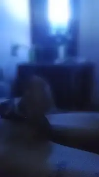 carloshot31 online show from April 2, 10:34 am